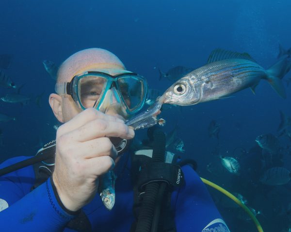 Underwater stills photographer photographing for a documentary