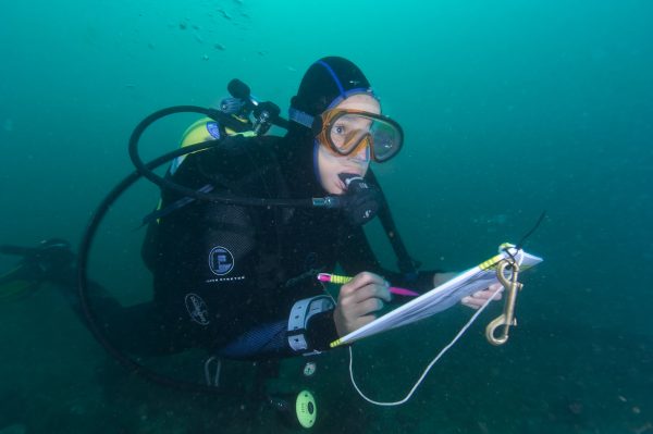 Underwater stills photographer photographing on assignment