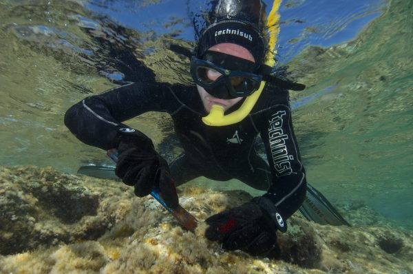 Underwater stills photographer photographing for Greenpeace